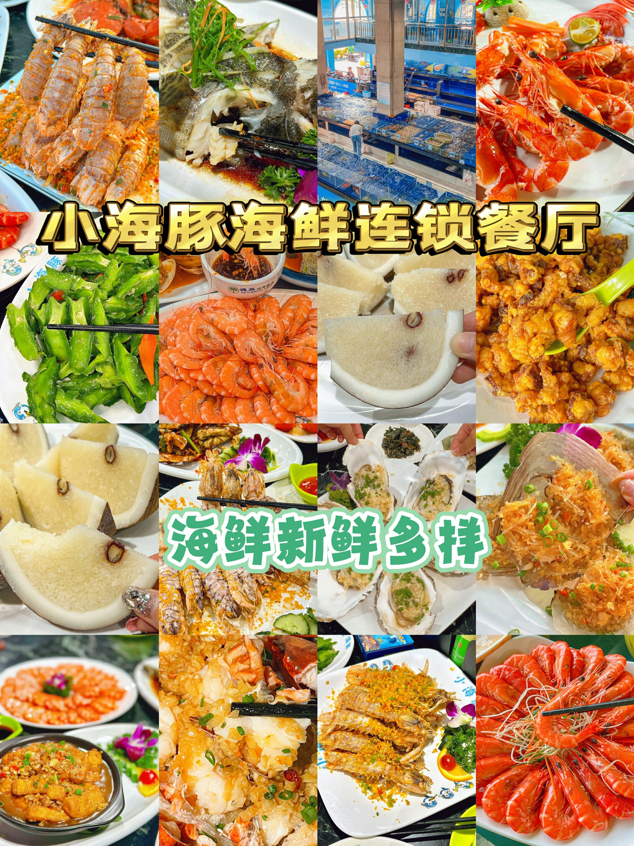 如何判断海鲜的来源和新鲜度
